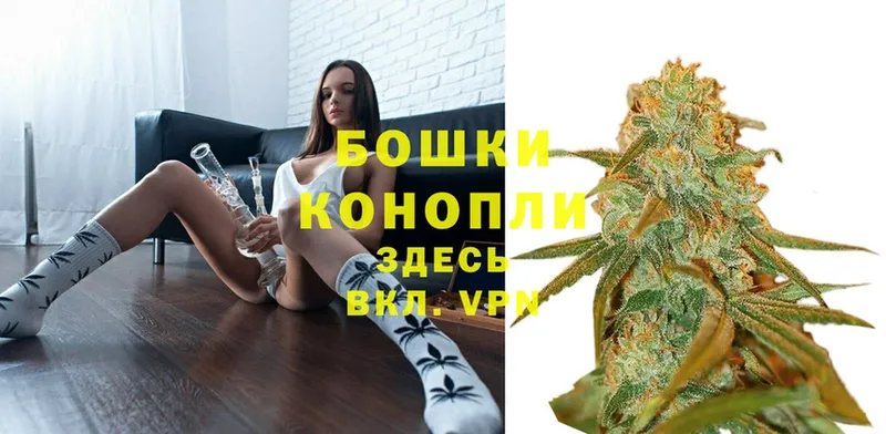 Канабис OG Kush  Аксай 